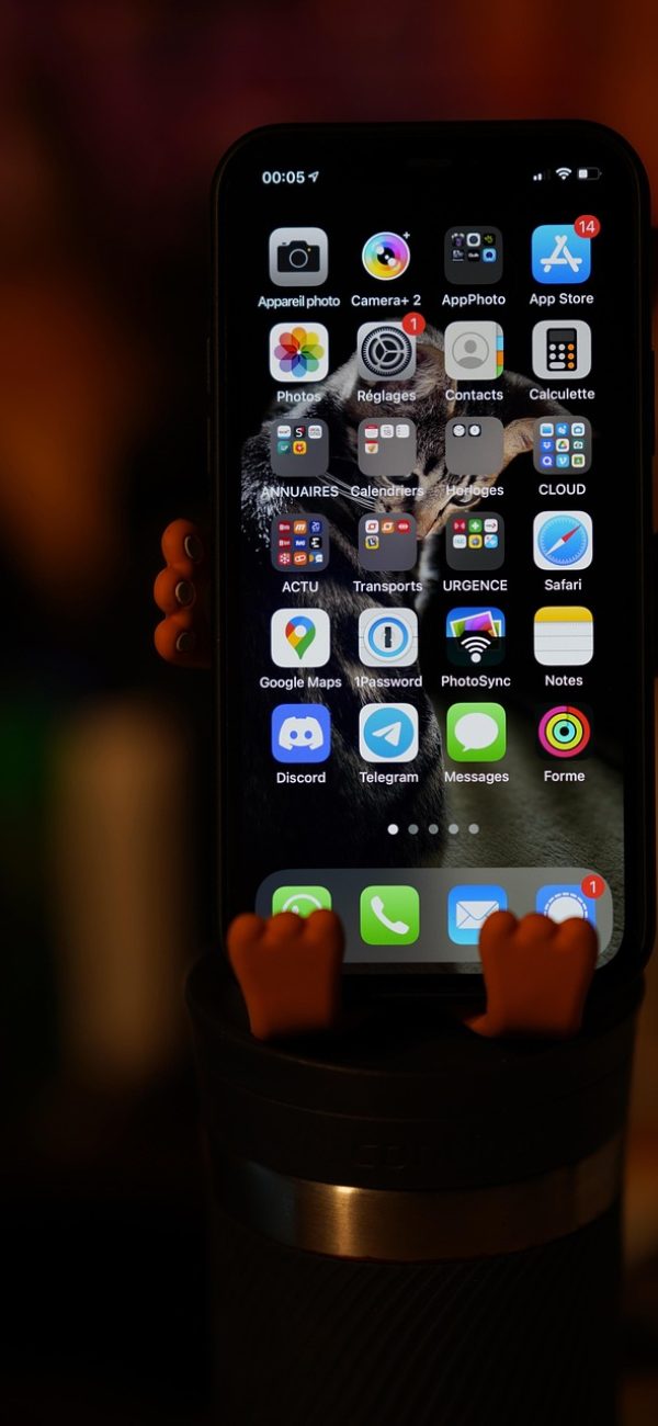 ico图标 App 尺寸装配界面截图，纵向排列着十六到二百五十六像素的尺寸开关与各自的预览小图